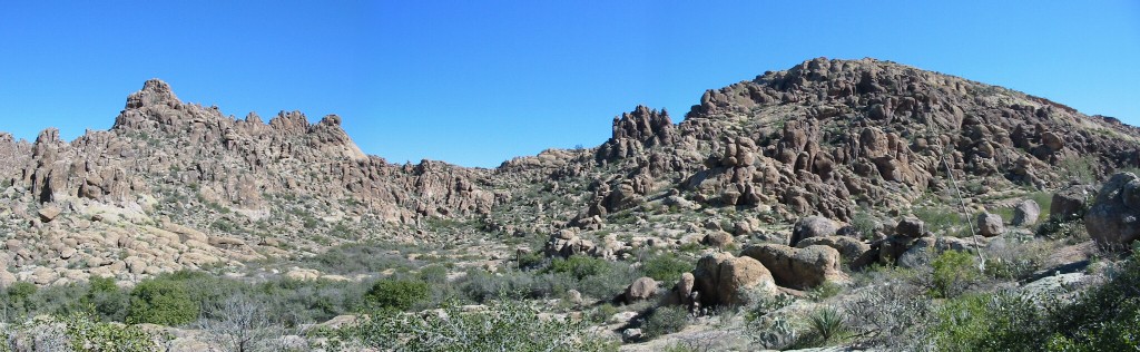 IMG_4525merge.jpg 138.06 K