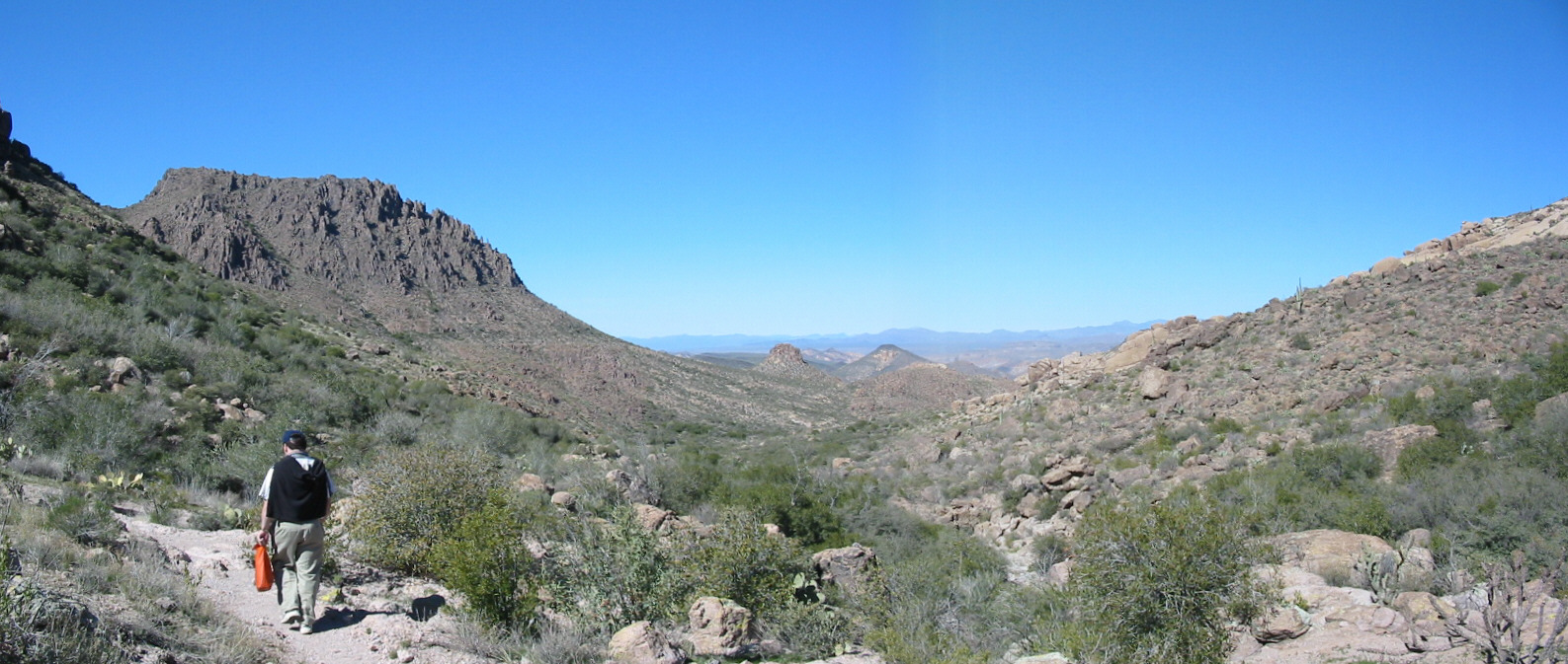 IMG_4542merg.jpg 434.91 K