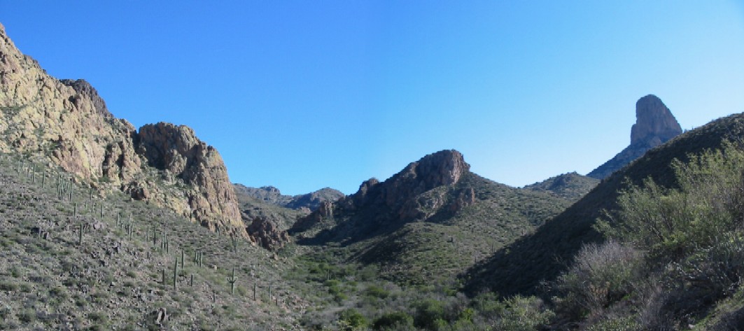 IMG_4564merge.jpg 129.78 K